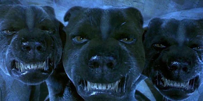 1746x800 Harry Potter RPG Leaked Gameplay Has Fans Freaking Out - IGN