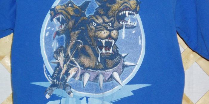 1024x768 Harry Potter Themed T-Shirt for Boys - Fluffy - My Web Yard Sale