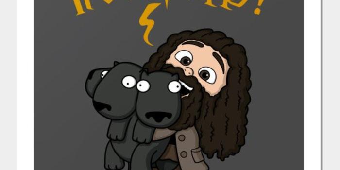 2560x2560 486c8133 It's So Fluffy! - Harry Potter - Posters and Art Prints