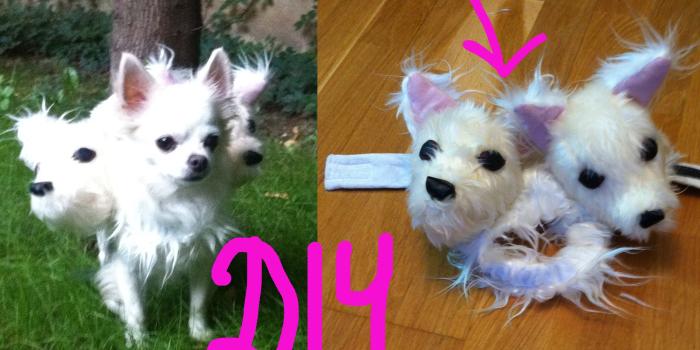 3000x1723 Harry Potter Dog Costume korrectkritterscom