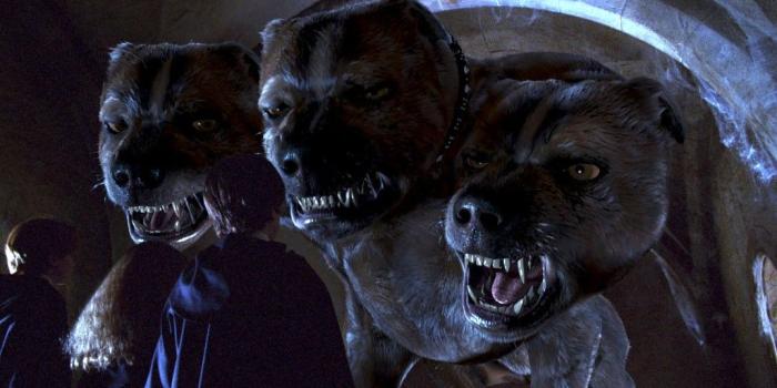 1075x750 The Rumor Mill: Details for New Harry Potter Coaster Coming to