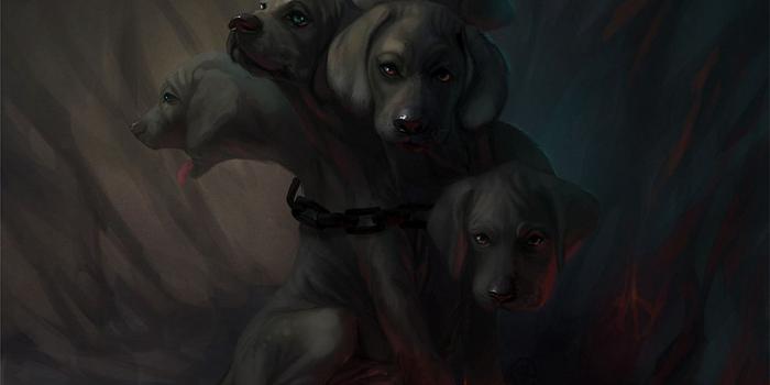 1280x959 55+ Fluffy Cerberus Wallpapers - Download at WallpaperBro