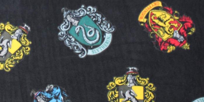 1200x1360 Harry Potter Fleece Fabric 58