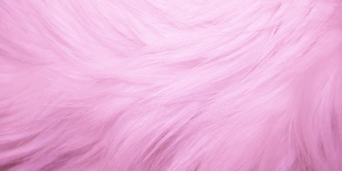 2560x1440 Pink Fur Wallpapers for Bedrooms (46+ background pictures)
