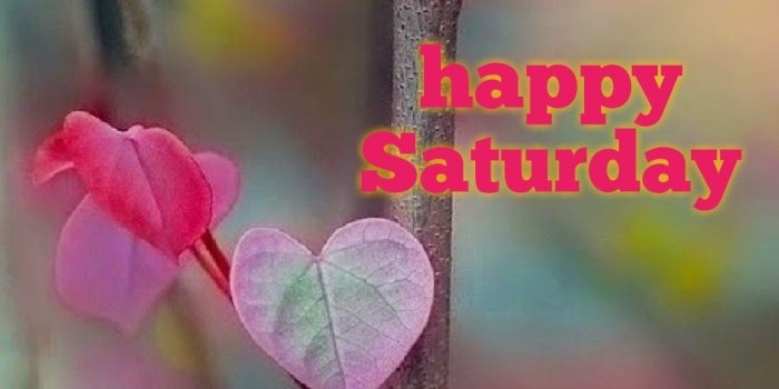 1080x1620 Saturday Pictures, Images, Graphics