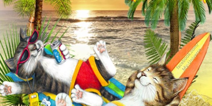 960x960 53 Saturday Pictures, Images, Photos for Facebook and WhatsApp