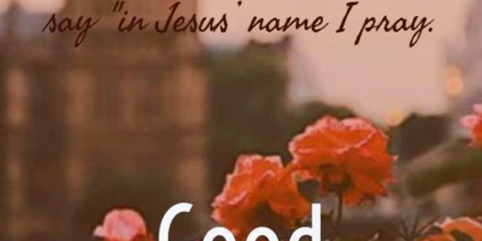 735x1103 58 Good Morning Memes and Good Morning Quotes With Images — TailPic