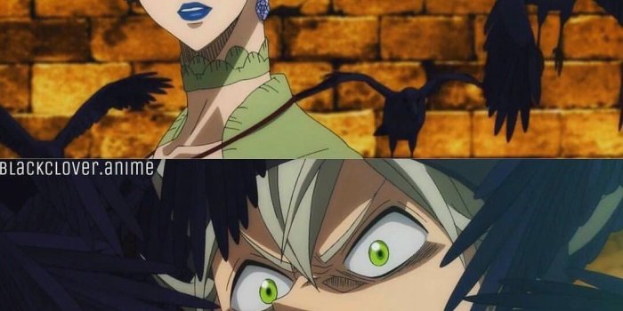 1080x1232 10 Black Clover Five Leaf Clover Wallpaper - Download Wallpaper HD