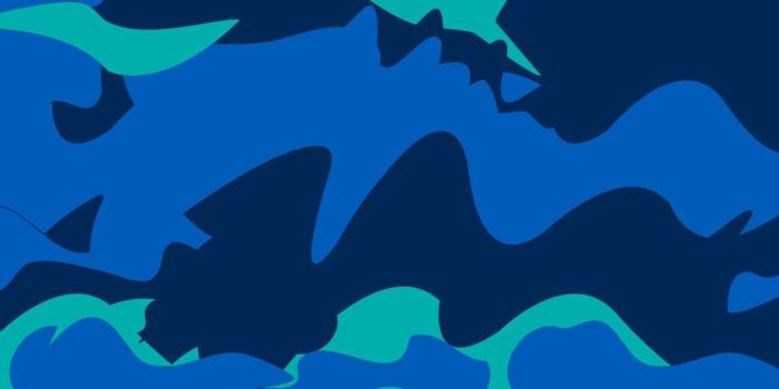 1242x2208 Awesome Bape Camo Wallpaper (52+), Download 4K Wallpapers For Free