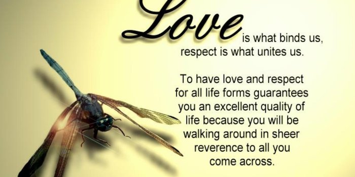 2709x1915 Wallpapers with Love Quotes (60+ images)