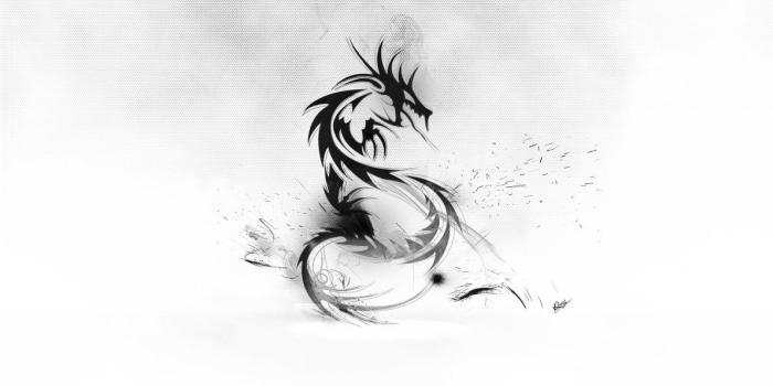 1191x670 75+] White Dragon Wallpaper on WallpaperSafari