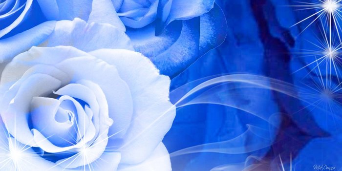 1920x1080 Rose So Blue wallpaper free | FLORAL BACKGROUNDS | Uñas azules, Flores