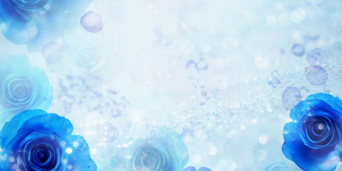 1920x1200 Sky Blue Rose Wallpaper 12769 - Baltana