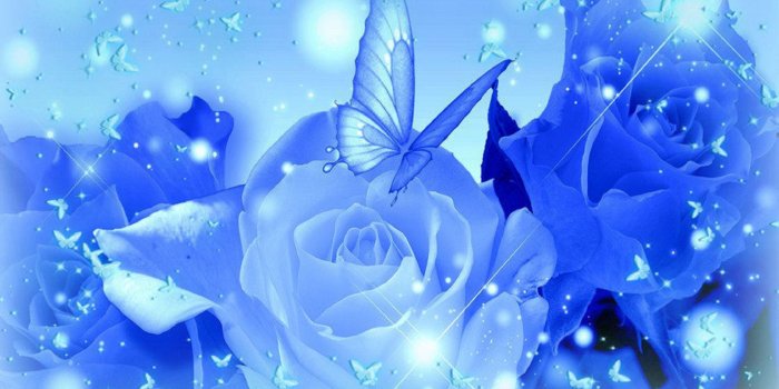 2560x1600 50+ Baby Blue Roses Wallpapers - Download at WallpaperBro