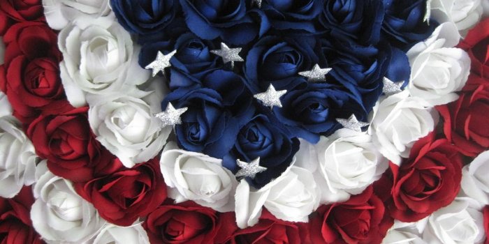 1024x768 Red White and Blue Flowers Wallpapers - Top Free Red White and Blue