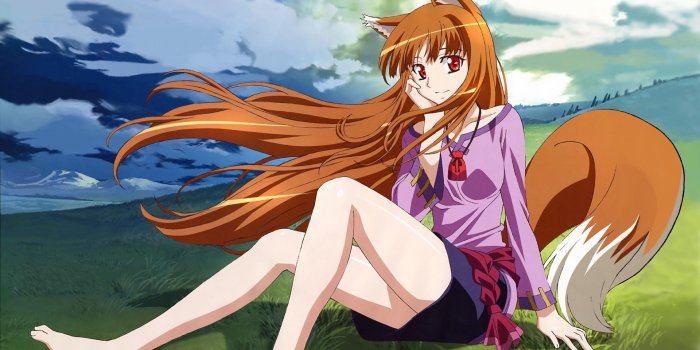 1920x1200 wolf girls, Holo, anime girls, anime, Spice and Wolf - wallpaper