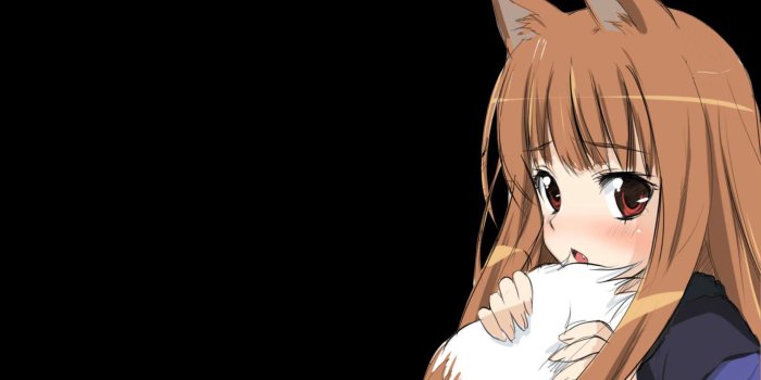 1920x1080 Download wallpaper 1920x1080 anime, spice wolf, girl, ears, tail