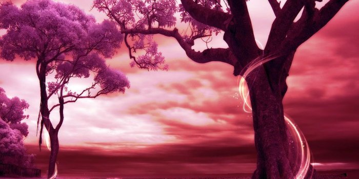 1024x768 Romantic Love Scenes 27 Free Hd Wallpaper - Hdlovewall.com