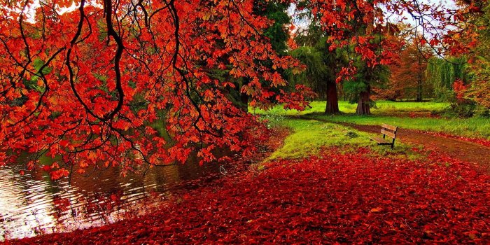 1920x1200 Romantic Scenes Wallpapers - Top Free Romantic Scenes Backgrounds