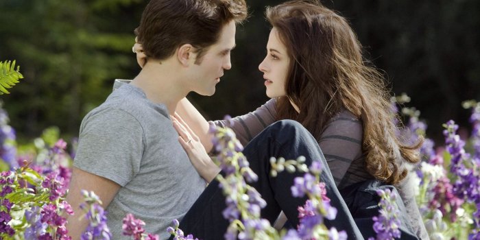 1920x1200 Twilight HD Romantic Wallpapers 1080p