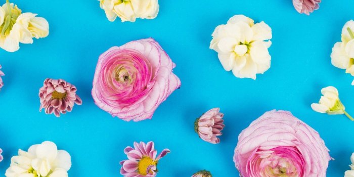 1332x850 Wallpaper flowers, background, roses, white, white, buds, fresh