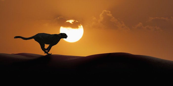 1920x1080 Windows 10 Lockscreen Wallpaper Dump (1920 x 1080) - Album on Imgur