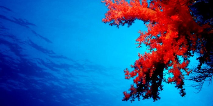 1579x966 Windows 8 Lock Screen Wallpaper Download | Wallpapers PC