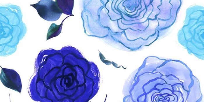 736x1309 Blue White Flower Wallpaper | Best HD Wallpapers