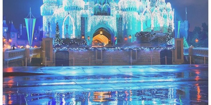 800x1590 Disney World Christmas Desktop Wallpaper – My Blog