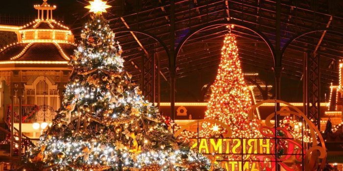 1024x768 Disney World At Christmas - mtoll Wallpaper (10966284) - Fanpop