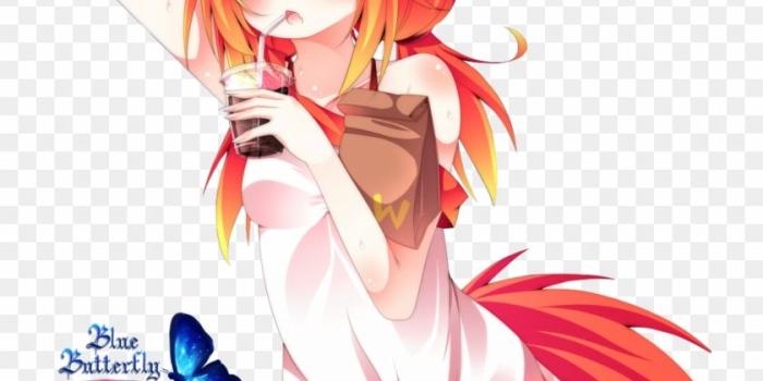 840x1126 Anime Fox Girl Png, Transparent Png - 752x1063(#1316274) - PngFind