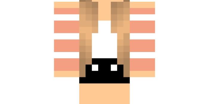 1200x1200 minecraft skins | Spring - Minecraft Skin Finder - SeusCraft | skins