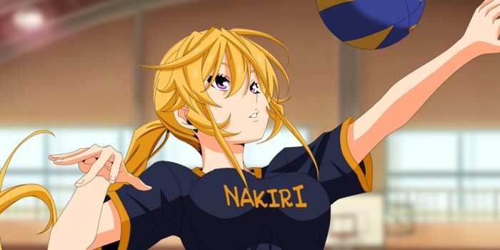 1332x850 Wallpaper sport, anime, asian, manga, oriental, asiatic, Shokugeki