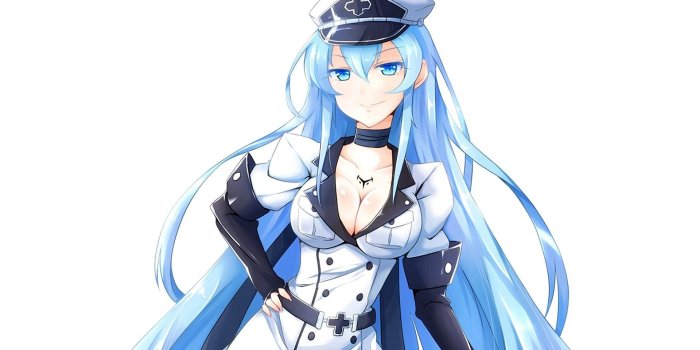1920x1080 Esdeath wallpaper ·① Download free cool High Resolution backgrounds