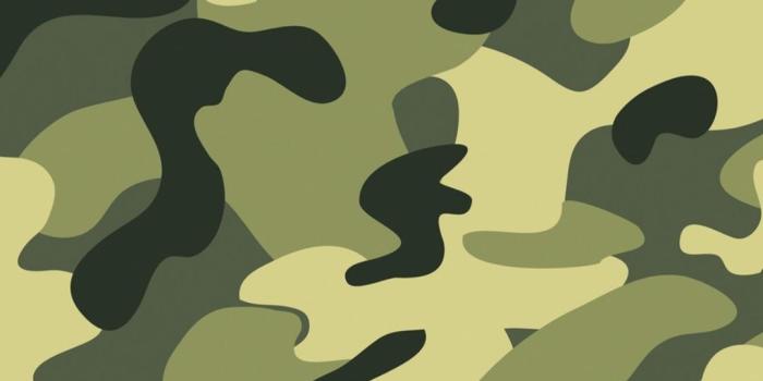 1080x1920 70+ Camo iPhone Wallpapers - Download at WallpaperBro
