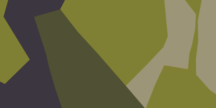 1200x1350 M90 (camouflage) - Wikipedia