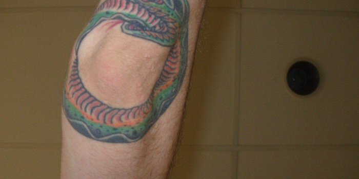 1024x768 I represent my Slytherin Brethren Daily....NOT a Dark Mark