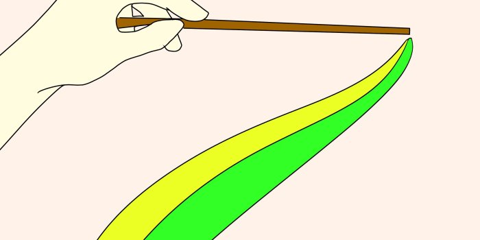 3200x2400 How to Dress Like a Slytherin for Halloween: 6 Steps