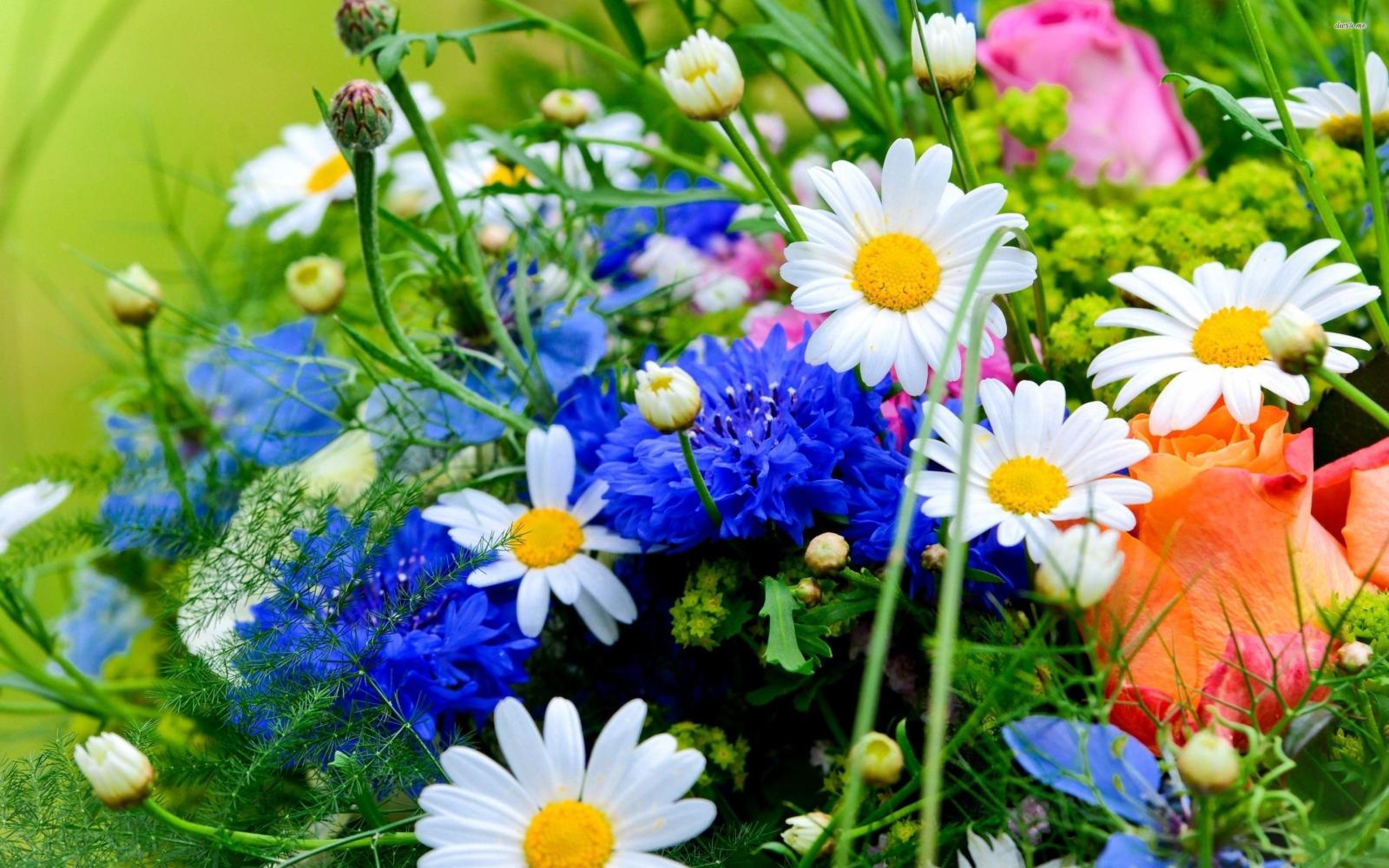 2880x1800 Bouquet Of Spring Flowers Hd Wallpaper - Desktop Background Flower
