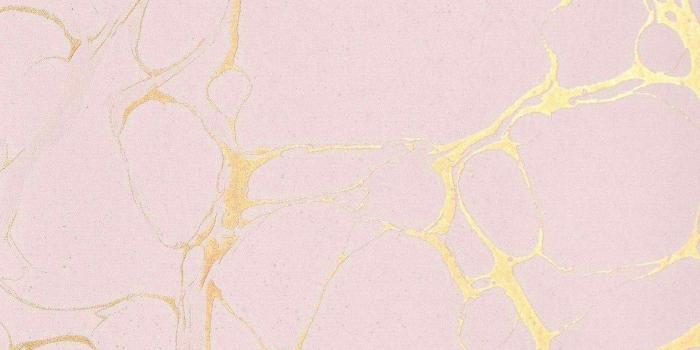 1920x1080 65 Best Free Aesthetic Desktop Wallpapers Wallpaperaccess - HOME DESIGN