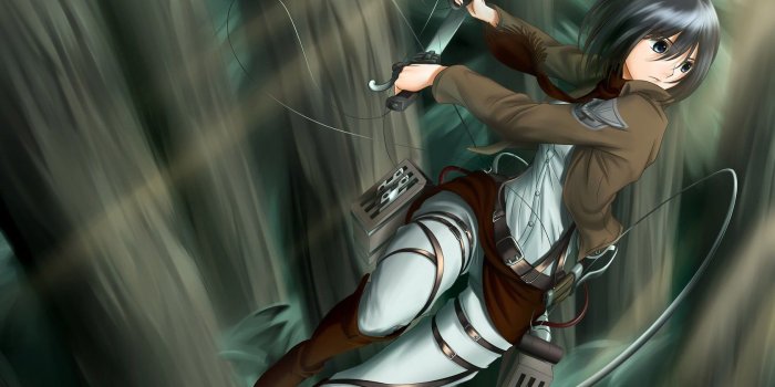 1680x1050 Attack on Titan Mikasa Ackerman wallpaper, Shingeki no Kyojin