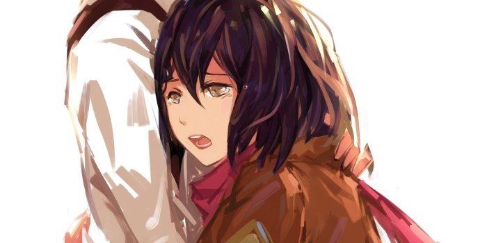 1920x1080 Mikasa Ackerman from Attack on Titan wallpaper - Anime wallpapers