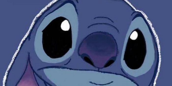 806x1433 Cute Stitch Wallpaper Hd | Babangrichie.org