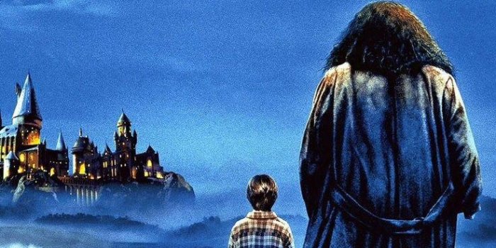 736x1376 Wallpaper : harrypotter