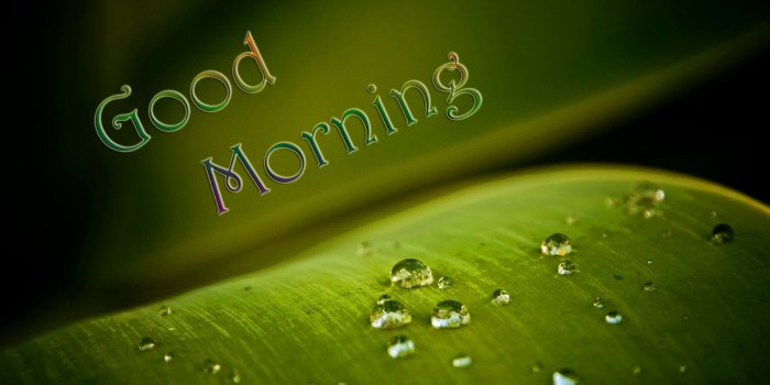1600x1000 47+] Good Morning Wallpapers Pictures on WallpaperSafari