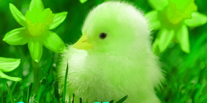 1517x1188 Beautiful 456+ Good Morning Images Free Download For Whatsapp