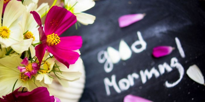 1366x768 30 Beautiful Good Morning Love Images with Flowers