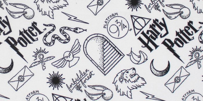 1200x1360 Harry Potter Flannel Fabric-Artifacts All Over