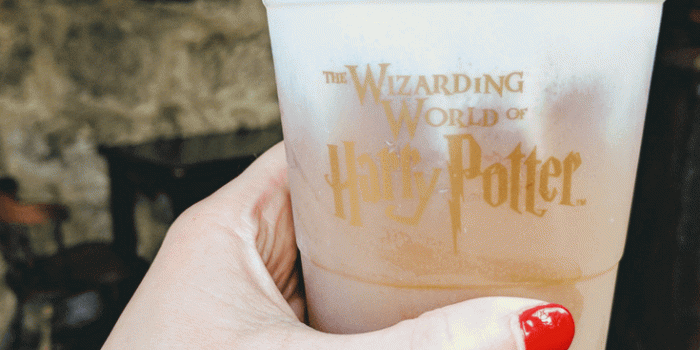 735x1102 Guide To The Wizarding World of Harry Potter - Universal Studios