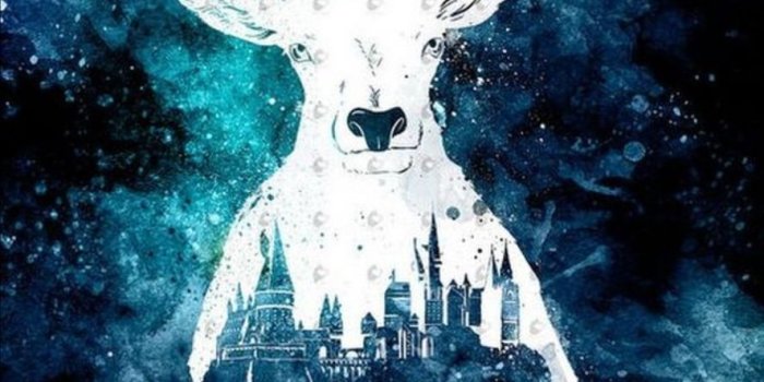 887x1457 M a l i a on Harry Potter in 2019 | Harry potter wallpaper